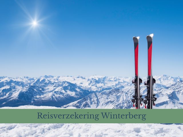 Reisverzekering Winterberg